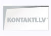 Latvijas Nacionālā bibliotēka, Periodikas nodaļa